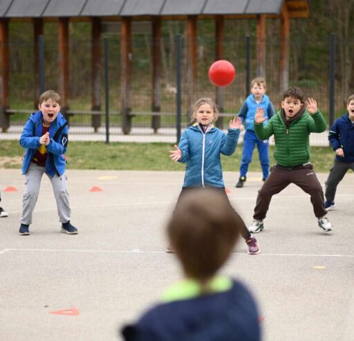 Telemachov dan športa – Bled
