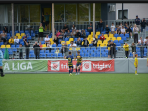 Triglav Cup Grosuplje